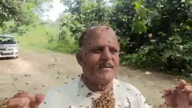 आखिर कैसे आ जाती हैं हजारों मक्खियों, ग्रामीण युवक के एक बुलावे पर, जानने के लिए देखें वीडियो