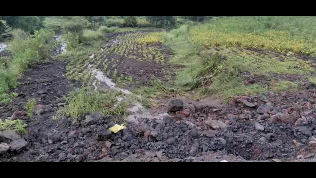 मुसळधार पावसामुळे सोमनाथपूर येथील तांड्याचा पूल खचला,शेतकऱ्यांच्या पिकांचे  मोठे नुकसान