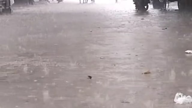 Azamgarh:  आजमगढ़ सही जिले के कल इस समय मूसलाधार बारिश किसानों के खिले चेहरे।