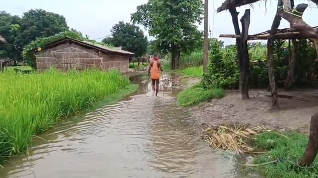 सीमावर्ती गांवों में बाढ़ का संकट, ग्रामीण कमर तक पानी पार कर करने को मजबूर#DMDharmendraKumar#SDM Gaurav Kumar