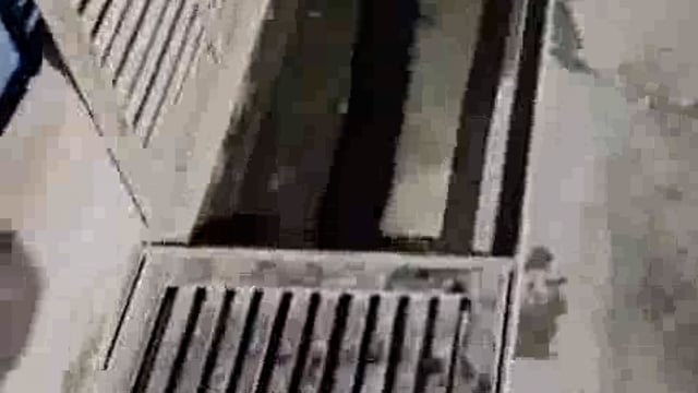 पलिया नगर पालिका की लापरवाही बनी हादसों का कारण