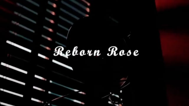 Video Reborn Rose by JL Magic
