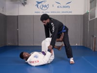 Sit up guard