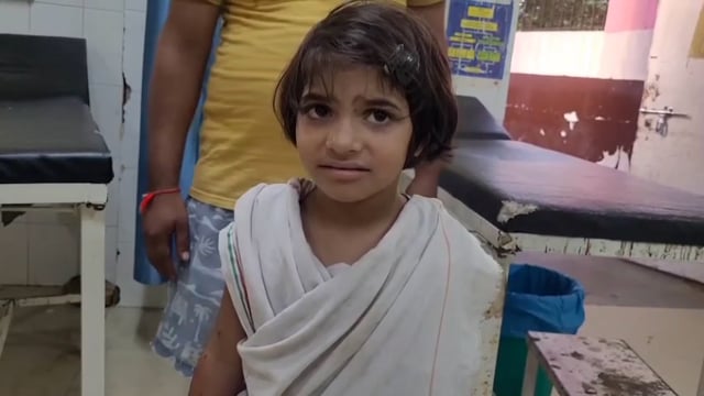 आवारा कुत्तो ने किया बच्ची पर हमला गंभीर रूप से घायल जिला अस्पताल में कराया भर्ती