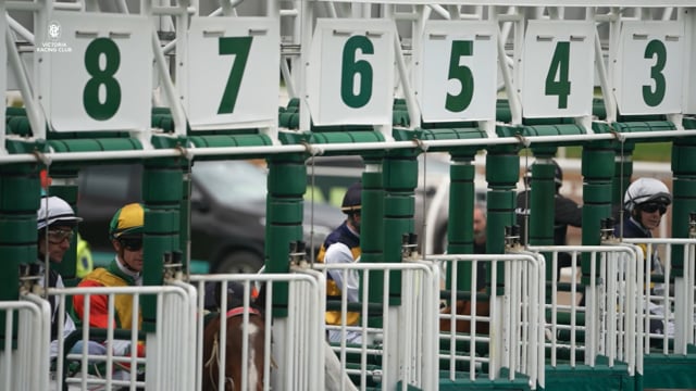 Race Day Wrap