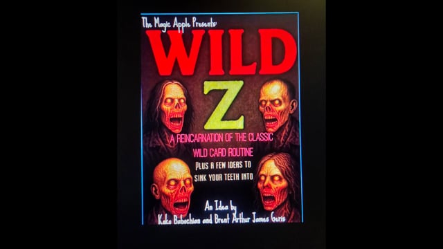 Video Wild Z by Brent Geris and Koko Babochian