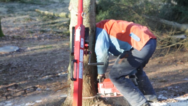 Fällheber für Bäume RH-PUSHER II