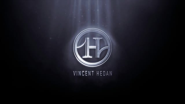 Video Multitude by Vincent Hedan - Book