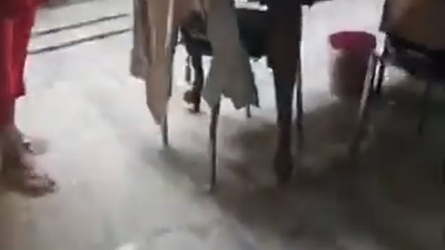 मथुरा में विधायक पूरन प्रकाश के घर में हुआ जल भराव नगर निगम की खुली पोल