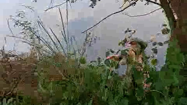 कोयला अलीपुर क्षेत्र में बाढ़ के पानी मे मिली एक महिला की लाश 