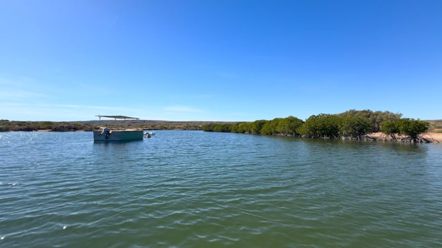 Virtual Rowing - Kalbarri River Cruise - Western Australia