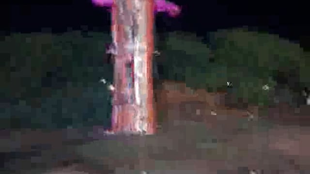 मथुरा में बनाया दशहरा का त्यौहार मथुरा वासी आनंद लेते हुए 