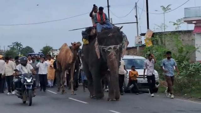 बगहा की विजयादशमी बनी अद्भुत नजारा, शोभायात्रा से लेकर रावण वध तक उमड़ा उत्साह