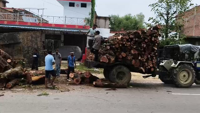 रायबरेली , महुआ की लकड़ी लादकर जा रही ट्रॉली हाइवे पर पलटी,सलोन कोतवाली क्षेत्र के हीरो एजेंसी सूची के पास की घटना