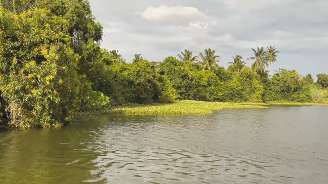 Virtual Rowing - Day to Sunset Negombo Lagoon - Sri Lanka
