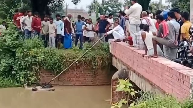 नहर में अज्ञात युवक का शव मिलने से मकी सनसनी,पुलिस शिनाख्त में जुटी