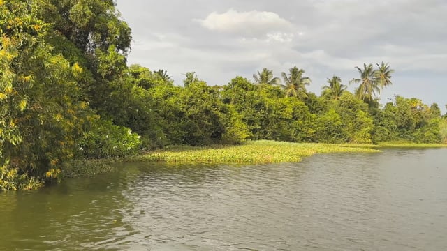 Relaxing Boat Journey - Tropical Lagoon