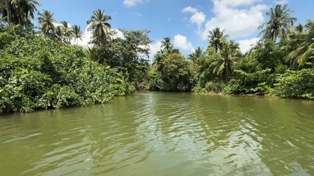 Relaxing Boat Journey - Tropical River with Palmtrees