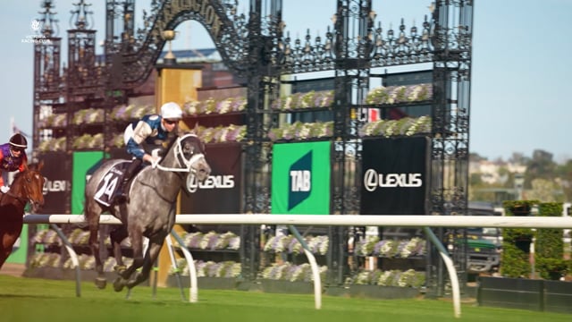 Valiant King earns Cup Golden Ticket