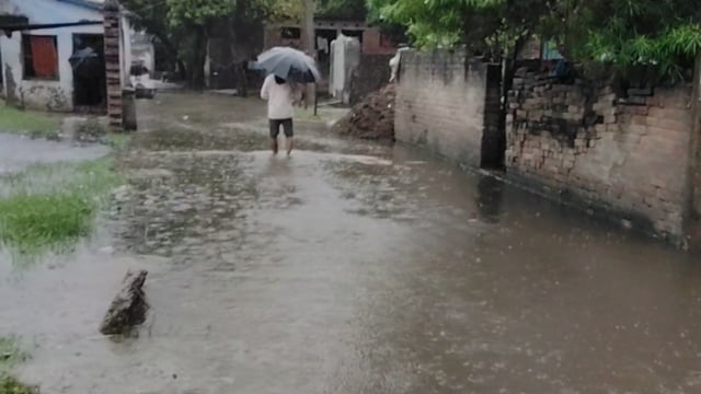 बगहा में 18 घंटे की बारिश से जनजीवन ठप, धान की फसलें बर्बादी के कगार पर