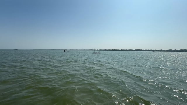 Virtual Rowing - Negombo Lagoon - Sri Lanka