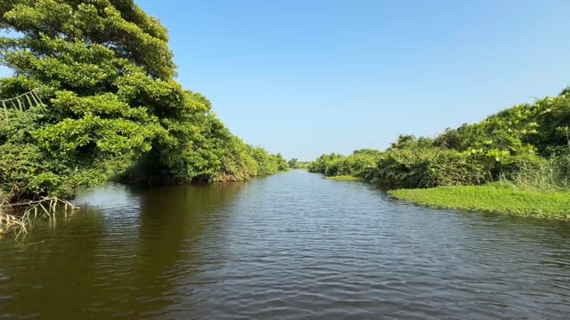 Virtual Rowing - Tropical Lagoon - Sri Lanka
