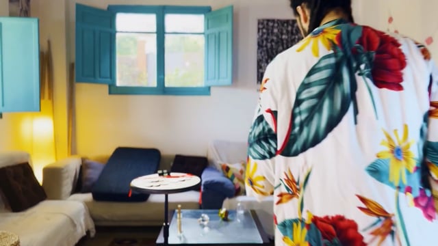 Video Feng Shui by Vanshy