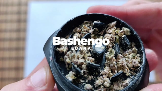 Bashengo LUANA: African Genetics Exotic Aromas
