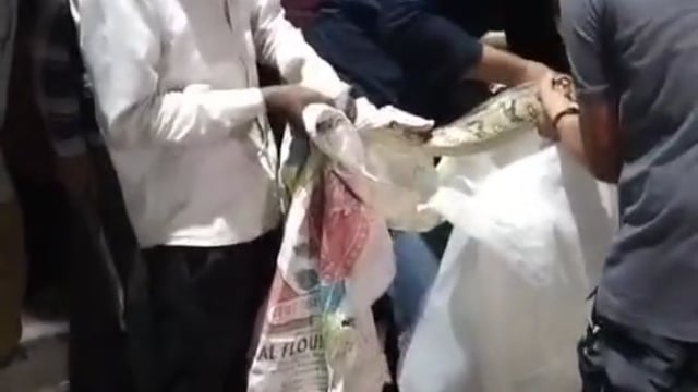 *लखनऊ*

*कार के बोनट से सांप को निकाला गया बाहर*

घंटो की मशक्कत के बाद सांप निकला बाहर
 वन विभाग ने सांप को सुरक्षित बाहर निकाला

वन#politics