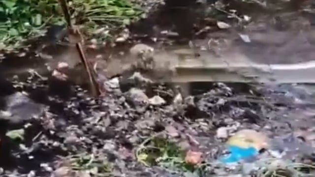 फतेहपुर – भीषण सड़क हादसे में तेज रफ्तार बोलेरो तालाब में जा गिरी, हादसे में चार लोगों की मौत हो गई जबकि पांच गंभीर रूप से घायल हुए।

जानकारी#politics