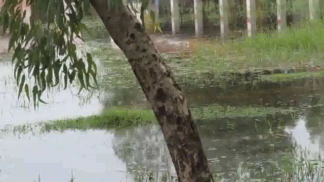 चांदपुर का स्कूल बना तालाब, जिम्मेदारों की लापरवाही से प्रभावित हो रही बच्चों की शिक्षा