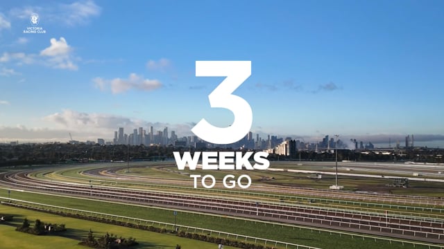 The countdown is on!