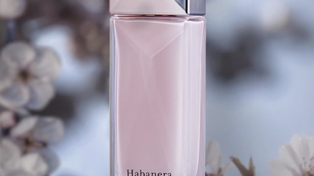 NEXTEP MEDIA - Lavander elegant motion