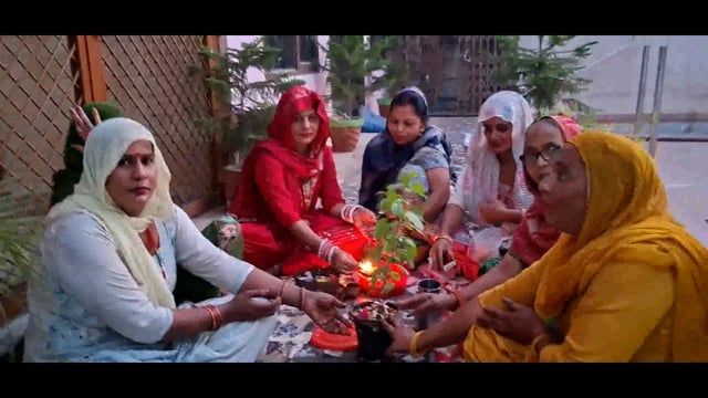मवाना सैफपुर फिरोजपुर सिद्ध पीठ श्री शिव मंदिर पर महिलाओं ने की तुलसी पूजा।