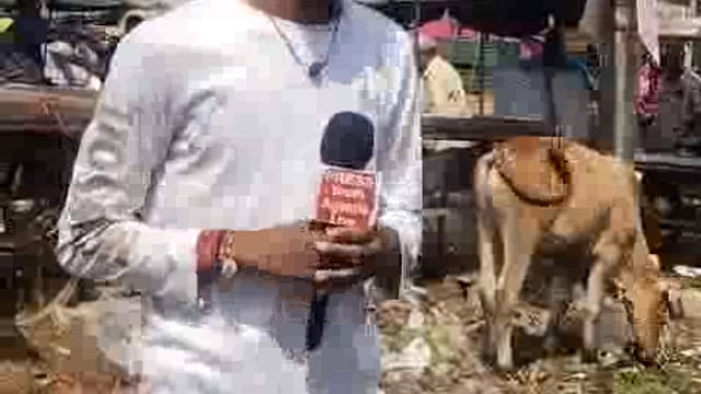 भारत का विकास सिर्फ किताबों और फाइलों में दिखता है धरातल पर नहीं।