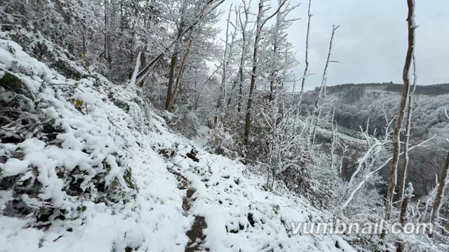 Virtual Walk – Snow Walk, Ardennes, Belgium 1
