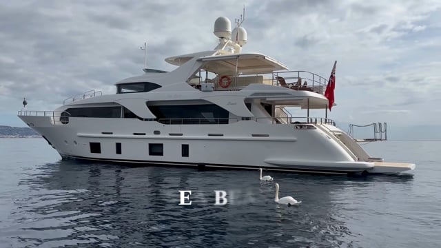 SEA BEAR - video