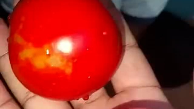 देखो  टमाटर और नींबू केमिकल से कैसे पकाए जाते हैं