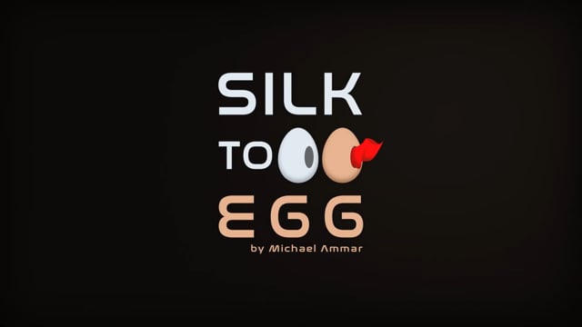 Video Silk to Egg by Michael Ammar