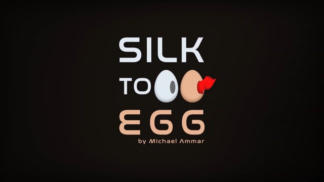 Video Silk to Egg by Michael Ammar