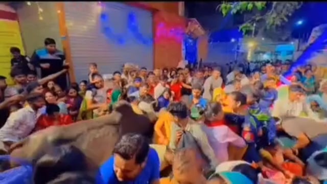 मथुरा राधाकुण्ड अहोई अष्टमी स्नान के दौरान भीड़ में घुसा सांड भीड़ में सांड के घुसने से मची अफरा तफरी