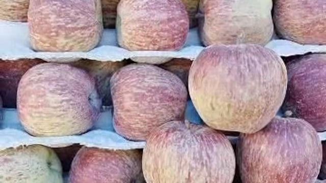 विदेशी सेब की आमद से देशी उत्पादक परेशान, जलवायु परिवर्तन और लागत भी बनी चुनौती