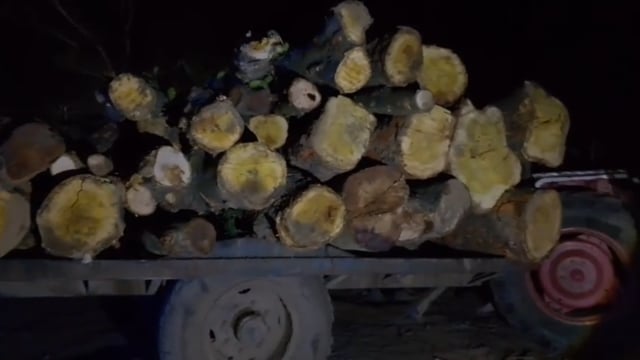 कलियर! वन विभाग की बड़ी कार्यवाही से वन माफियाओं में मचा हड़कंप!