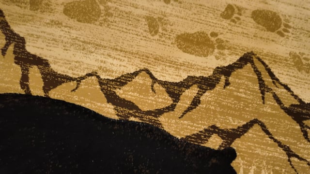 Vimeo video preview for Mountain Bear Rug Collection - 1128285507