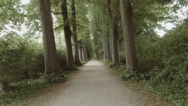 Virtual Walk - Castle Gardens and Woodlands - Germany
