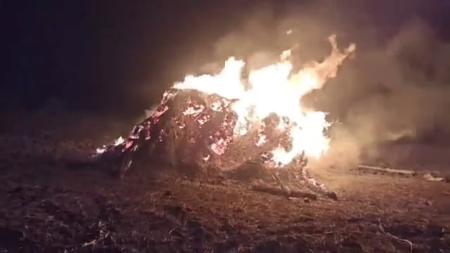 तीवटग्याळ येथे माथेफिरुणे सोयाबीनची बाणीम पेटवली