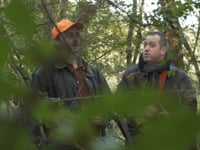 Bande démo (avec cm)