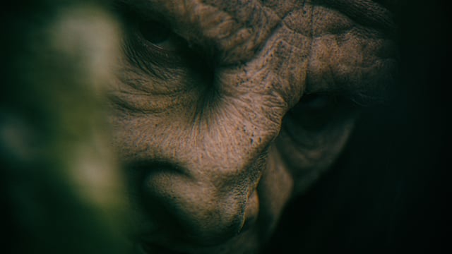 Trailer - WINKIE. A film by Daniel Duranleau