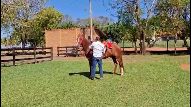 Lote 16