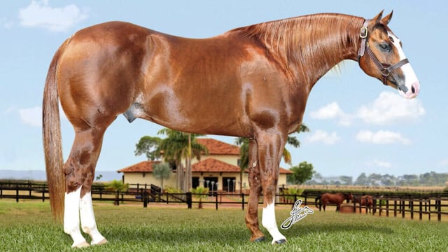 Lote 148